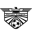 Gallup Youth Soccer League